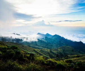 Tik Tok/Indonezja