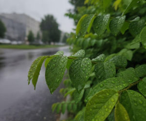 Weekend w Szczecinie ma jeden słabszy moment. Prognoza pokazuje, kiedy pogoda się zmieni