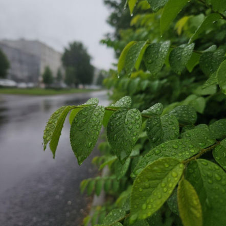 Weekend w Szczecinie ma jeden słabszy moment. Prognoza pokazuje, kiedy pogoda się zmieni