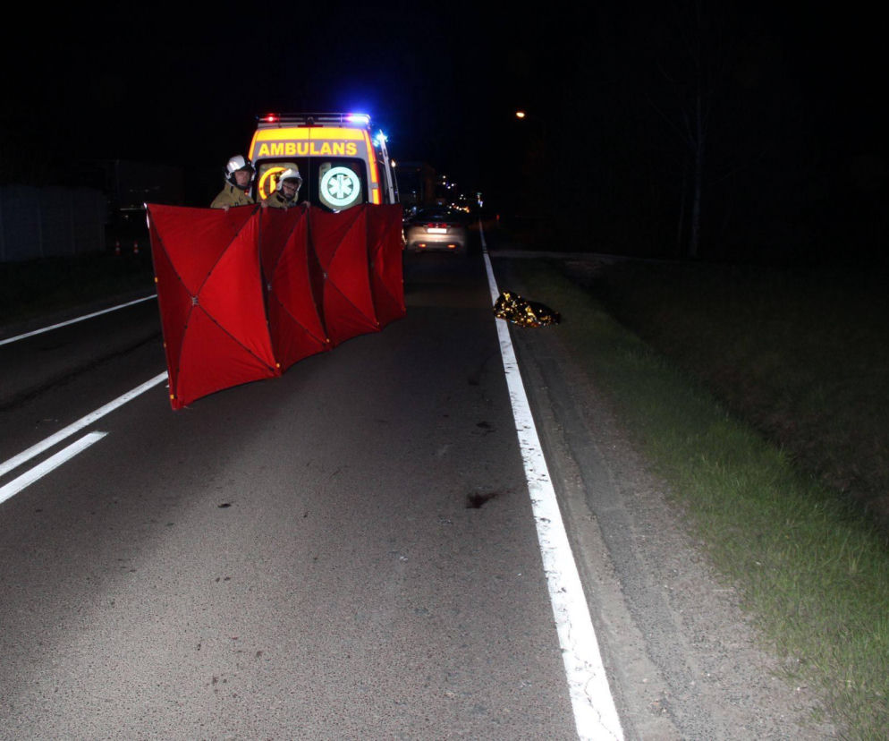 Strażacy z czerwoną parawanową osłoną na drodze w nocy obok karetki. O tragedii w Wilczej przeczytasz na SE.