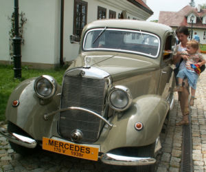Zdjęcie 5909