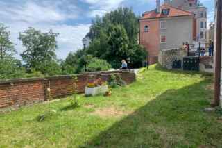 W Lublinie pojawią się dwa nowe zielone skwery. Gdzie? Sprawdź 
