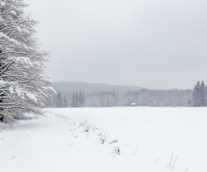 Zimowe uderzenie w Polsce. Nawet 80 cm śniegu zagrozi? Alerty RCB alarmują