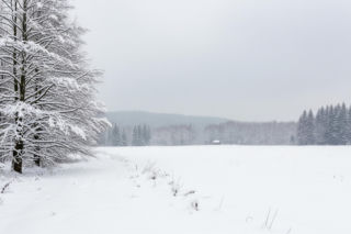 Zimowe uderzenie w Polsce. Nawet 80 cm śniegu zagrozi? Alerty RCB alarmują