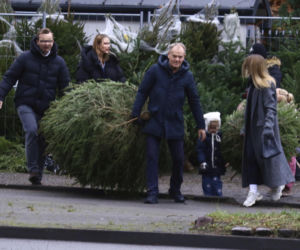 Premier Donald Tusk ma gest? Kupił dwie choinki i odmówił reszty
