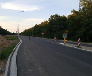 Budowa buspasów w Myślęcinku