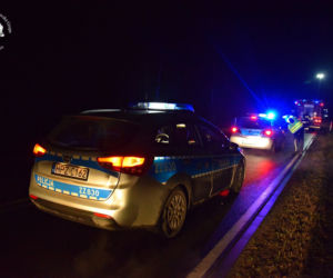 BMW rozbiło się na drzewie