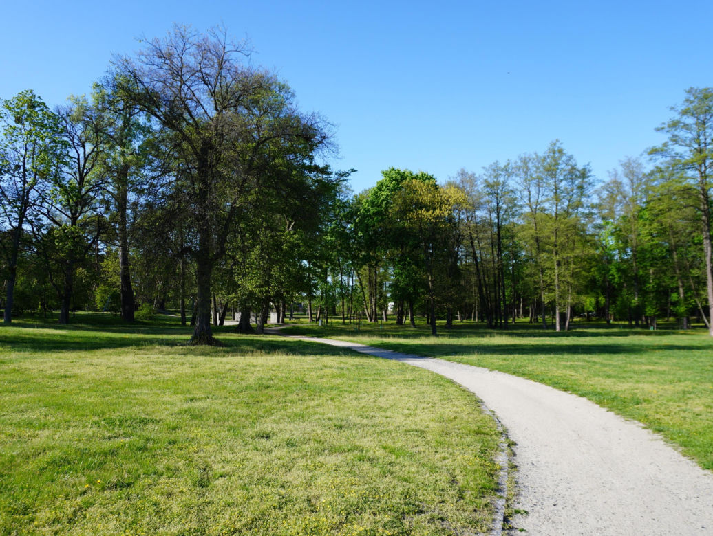 Park miejski w Opolu Lubelskim