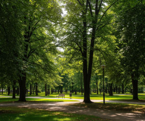 Podkowa Leśna. Dlaczego AI wskazało to miasto na Mazowszu?