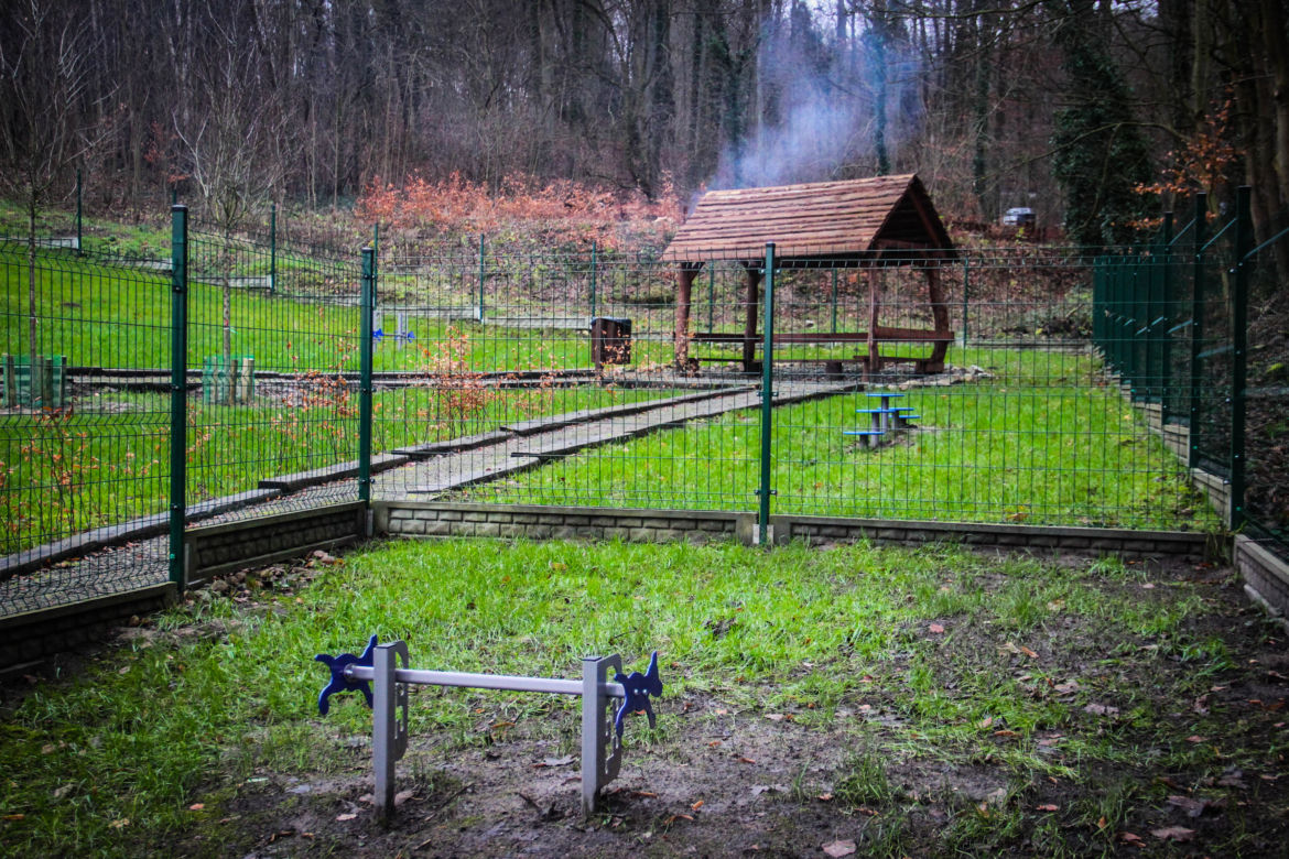 Nowy wybieg dla psów na Szmaragdowym