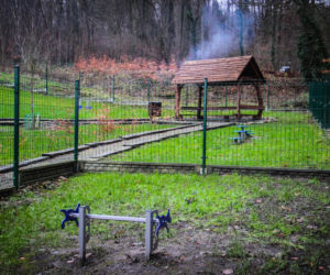 Nowy wybieg dla psów na Szmaragdowym