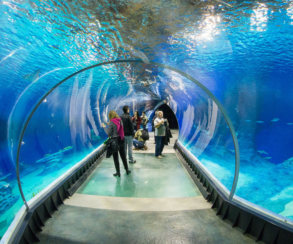 Afrykarium to jedna z największych atrakcji Wrocławia