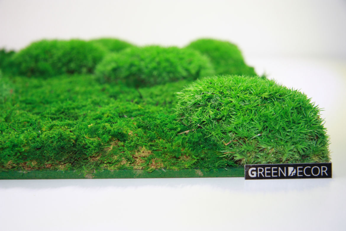 Green Decor