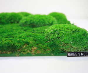 Green Decor