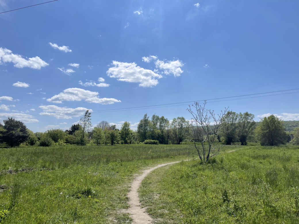 Najdłuższy park w Polsce jest w Krakowie. Ledwo widać go na mapach, a jest pełen atrakcji