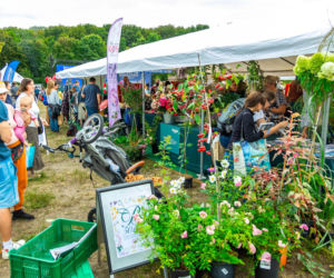 Wielki Piknik Jesienny w Parku Żerańskim 12 września. Będzie jednocześnie finałem projektu „Warszawa w kwiatach i zieleni” 