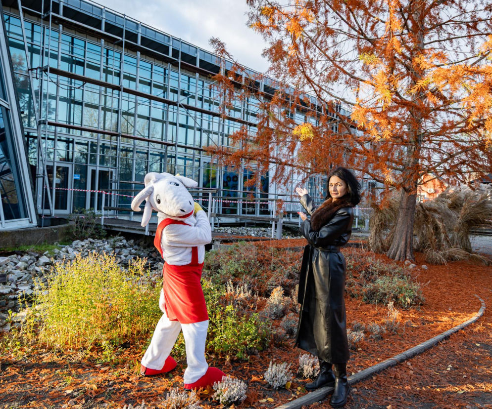 Pacanów w budowie: Europejskie Centrum Bajki przechodzi gruntowną metamorfozę!