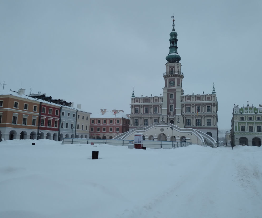zamość