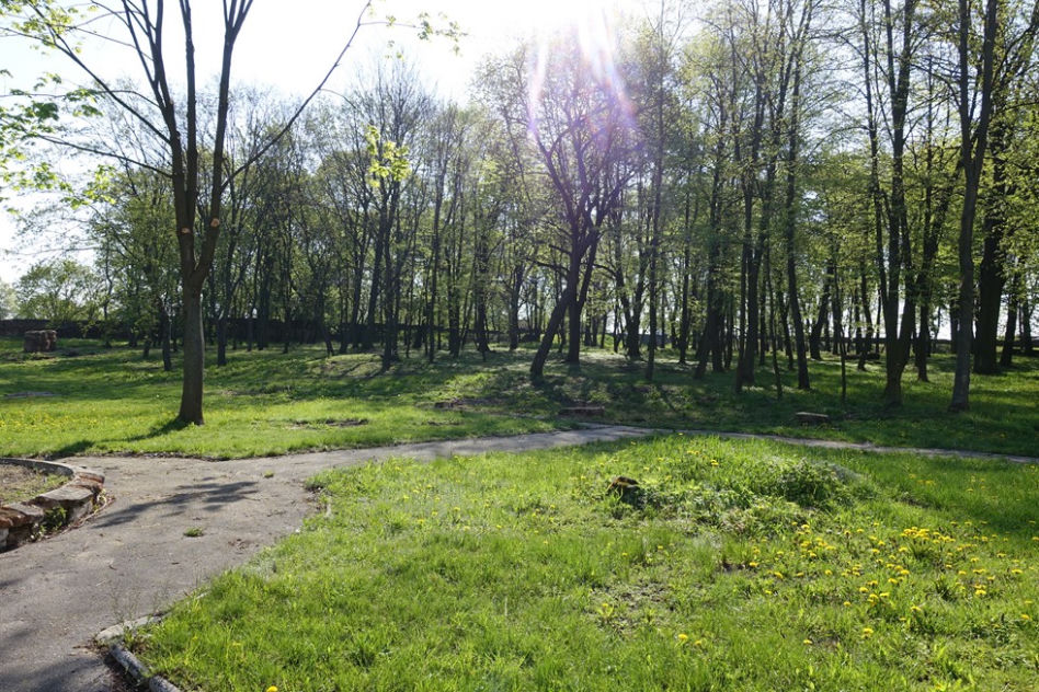 Pałac i fortyfikacje w Czemiernikach