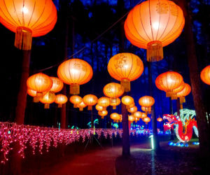 Lumina Park Bydgoszcz