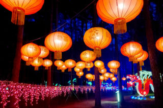 Lumina Park Bydgoszcz