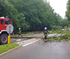 Burze z gradem w Podlaskiem. Powalone drzewo przygniotło samochód [ZDJĘCIA]