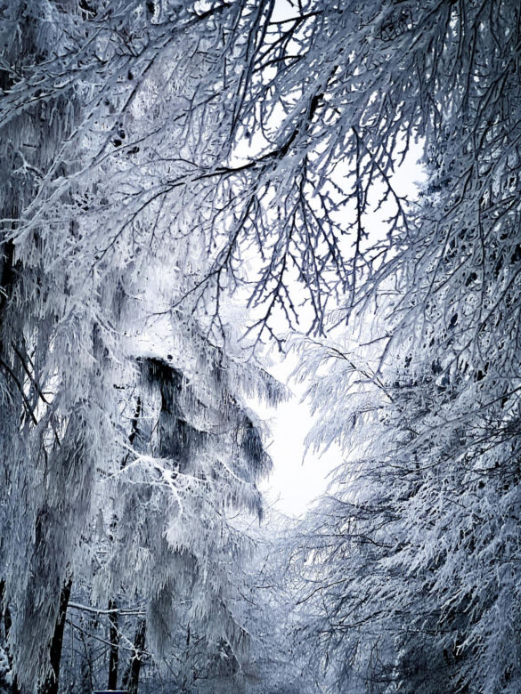 Góry Świętokrzyskie i Święty Krzyż: Zima 
