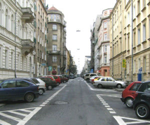 Wilcza