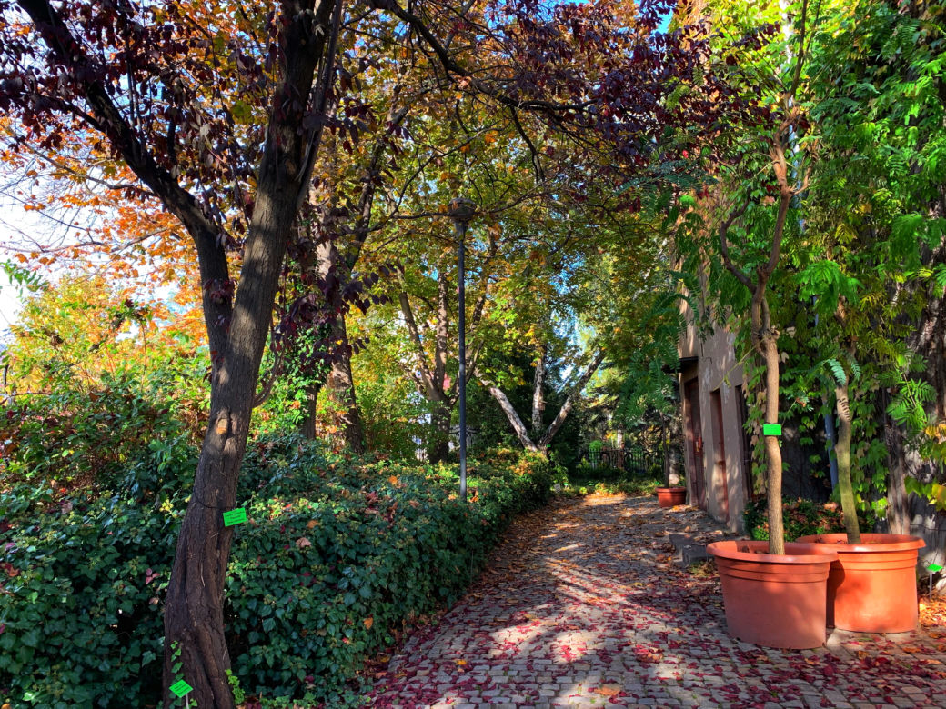 Jesień w ogrodzie botanicznym we Wrocławiu