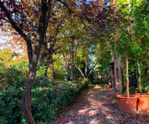 Jesień w ogrodzie botanicznym we Wrocławiu