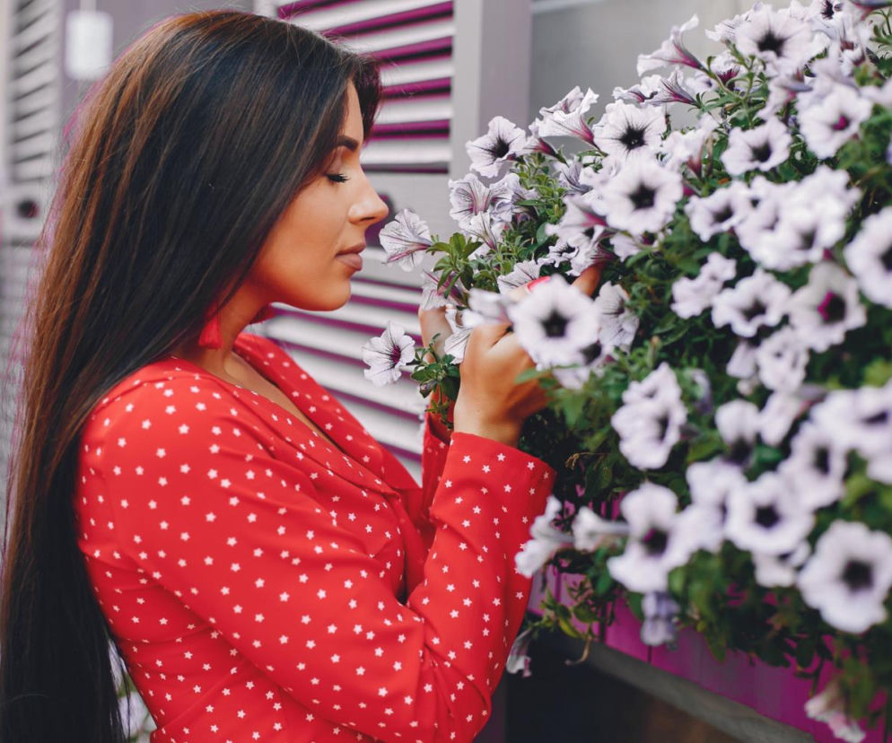 Ten domowy nawóz sprawi, że twoje kwiaty balkonowe będą kwitnąć przez długie miesiące. Wystarczy jeden tani składnik, który z pewnością masz w kuchni