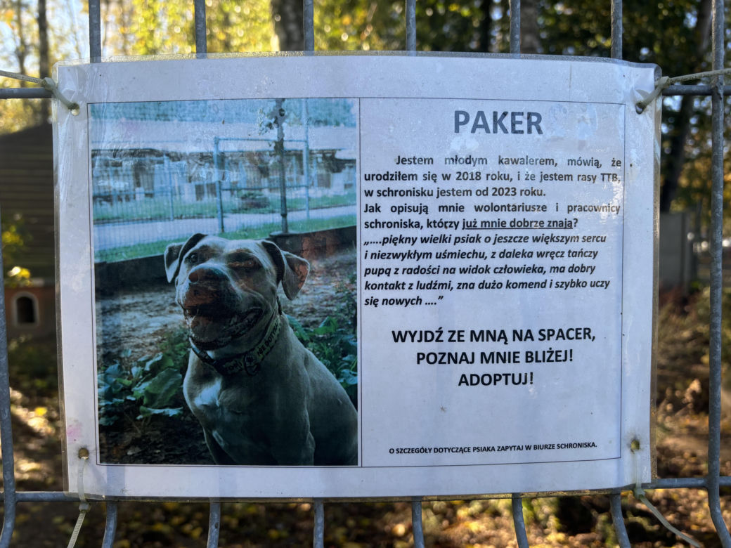 Przygotowania do nadchodzącej zimy. Odwiedziliśmy olsztyńskie Schronisko dla zwierząt [ZDJĘCIA]