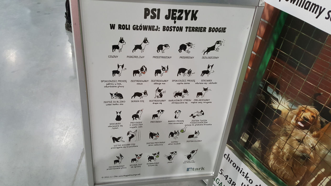 Targi PET EXPO 2019 w Bydgoszczy 