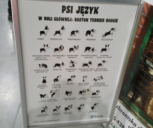 Targi PET EXPO 2019 w Bydgoszczy 