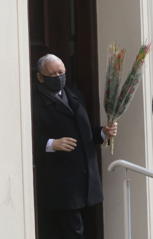 Prezes z palmą, Wałęsa bez