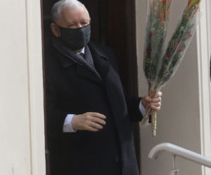 Prezes z palmą, Wałęsa bez