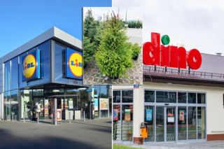 Ceny choinek w Dino i Lidlu. Gdzie kupisz najtaniej świąteczne drzewko?