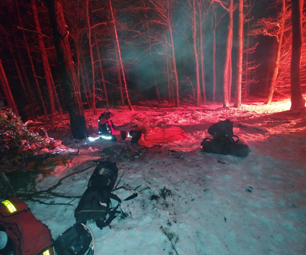 GDYNIA: Chciał się SPRAWDZIĆ ZIMĄ W LESIE, omal nie zamarzł. Miłośnik survivalu postawił na nogi WSZYSTKIE SŁUŻBY! [ZDJĘCIA]