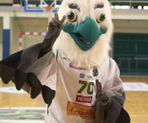 AZS walczy o awans