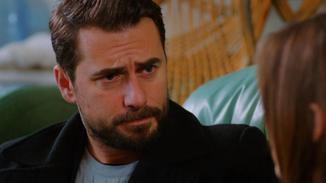 Miłość i nadzieja, odcinek 345. Kuzey, Sila