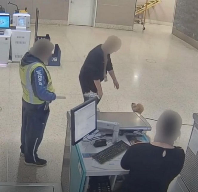 Kobieta porzuciła psa na lotnisku! Powód łamie serce