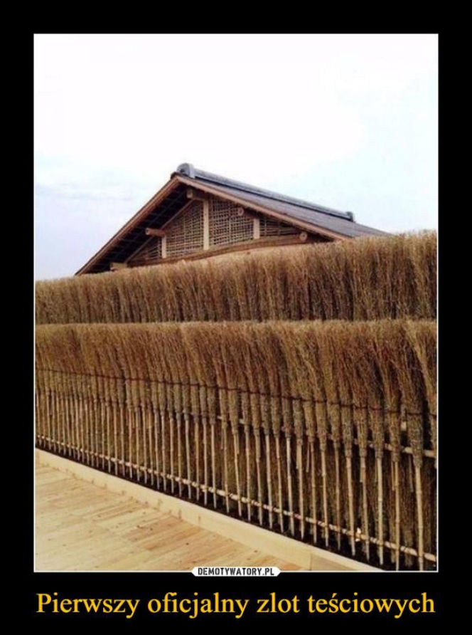 Tych memów o teściowych nie pokażesz mamie! Internauci nie mają litości