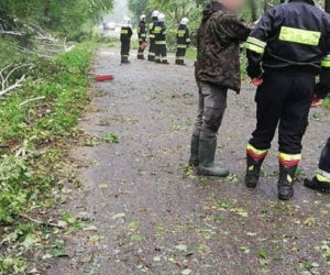 Nawałnica w gminie Lisia Góra łamała drzewa jak zapałki. Potężne zniszczenia 