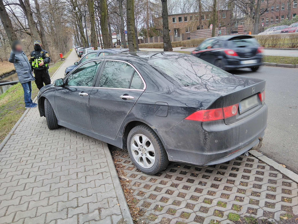 Parkują na przejściach dla pieszych, skrzyżowaniach i... przystankach autobusowych. A Straż Miejska jest bezlitosna [GALERIA]