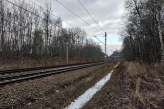 Cecylia zginęła pod kołami pociągu