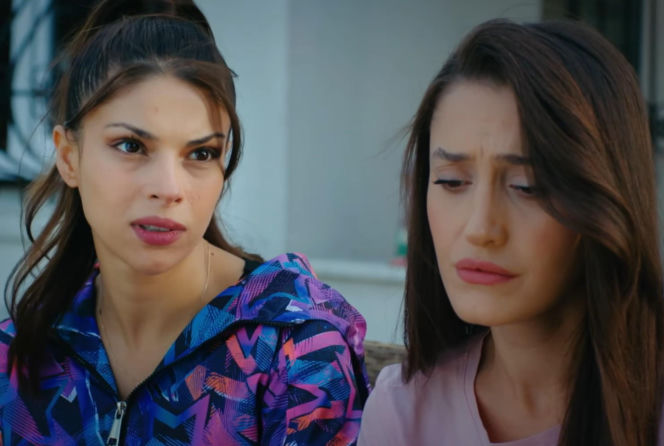 Dziedzictwo odcinek 906