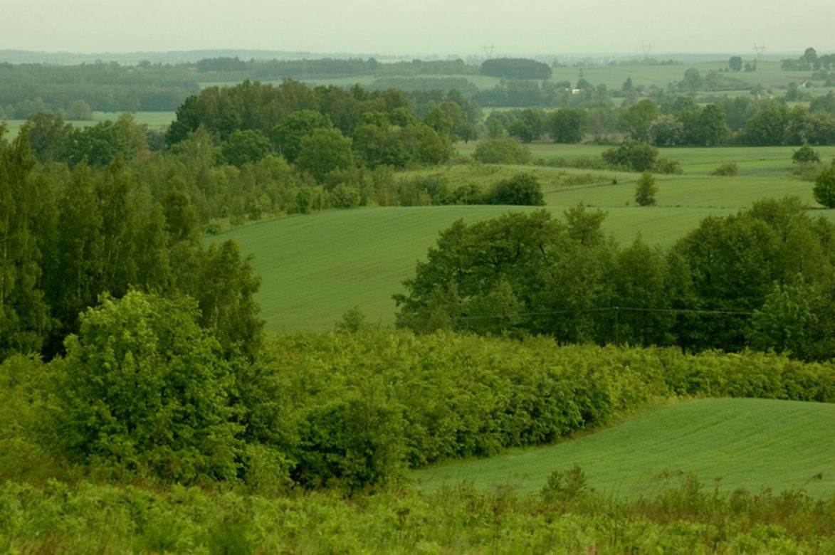 Park Krajobrazowy Wzniesień Łódzkich