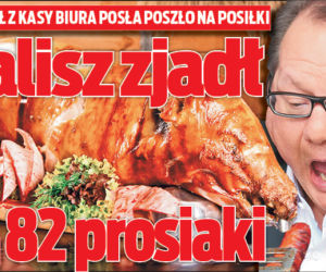 Kalisz zjadł 82 prosiaki