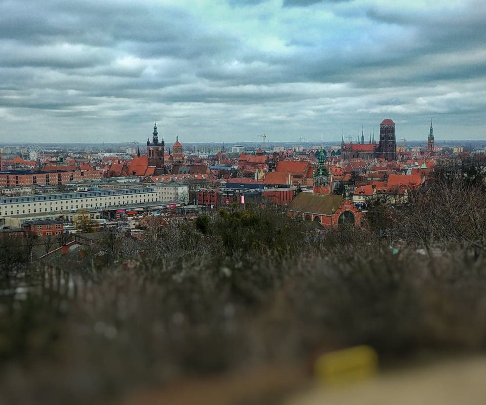 Zdjęcie dnia