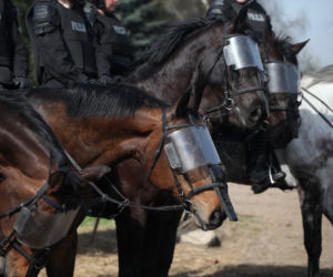 Poznań: Policja konna przeszła egzaminy i otrzymała atest [ZDJĘCIA]